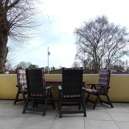 Specht - 2 Dahme (Schleswig-Holstein)